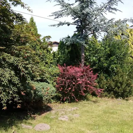 Zaepernick Dachgeschoss Daire