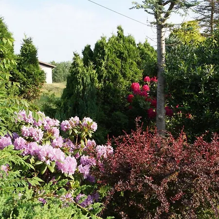Daire Zaepernick Dachgeschoss Dierhagen
