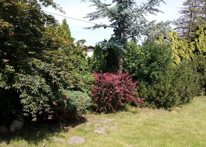 Zaepernick Dachgeschoss Lägenhet