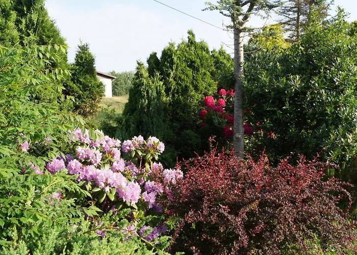 Lägenhet Zaepernick Dachgeschoss Dierhagen